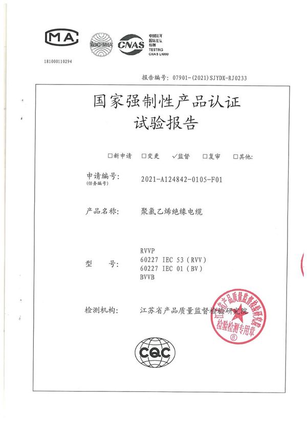 BV 6国家强制性产品认证试验报告